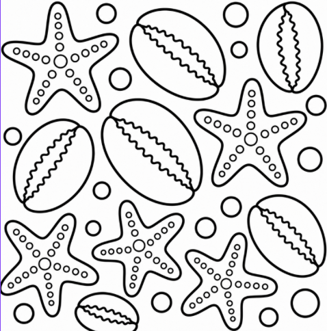 Seashells by the Seashore - Image 4